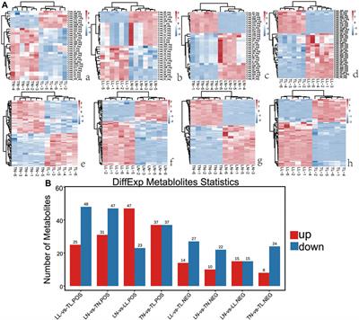 Transcriptome and Metabolome Integration Provides New Insights Into the Regulatory Networks of Tibetan Pig Alveolar Type II Epithelial Cells in Response to Hypoxia